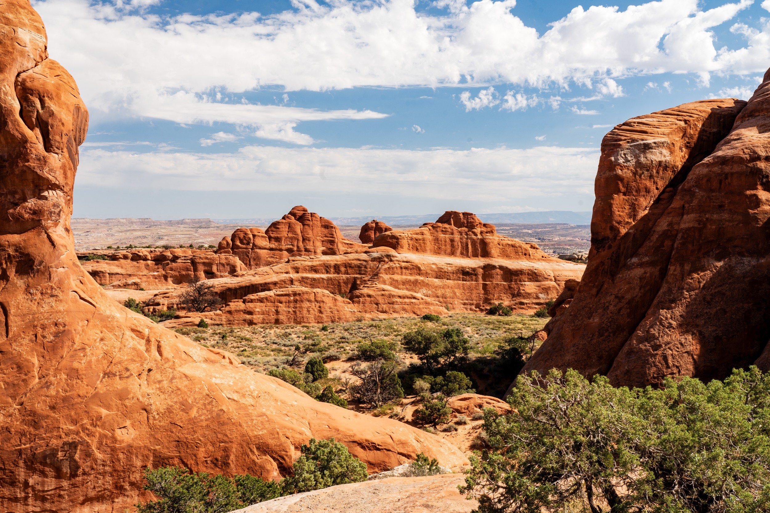 USA 2024 5 Sterne 118